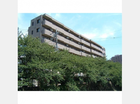 外観 ナイス エスアリーナ弘明寺